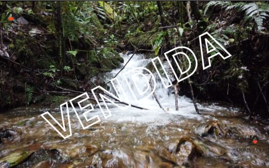 Venta de Finca en Copey de Dota Con 5 Nacientes de Agua