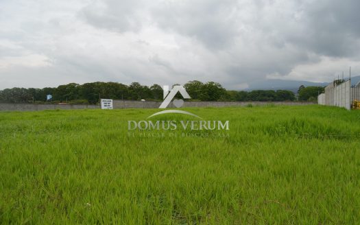 Venta de lotes grandes entre San Pablo y Santo Domingo