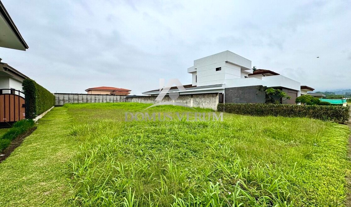 Los Hidalgos Lote santo Domingo