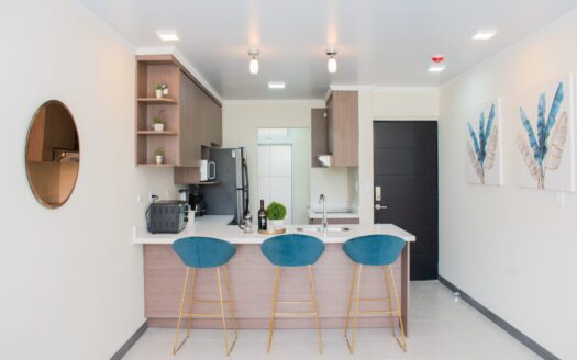 Alquiler de Apartamento Moderno y Amueblado en La Sabana