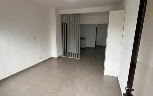 Apartamento en Alquiler de 1 Habitación en Rohrmoser San José