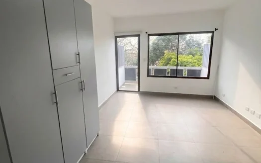 Apartamento en Alquiler de 1 Habitación en Rohrmoser San José