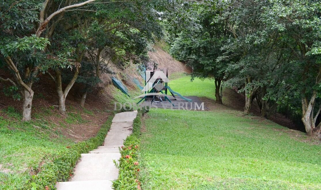 Properties For Rent Cerro Colon Real Estate