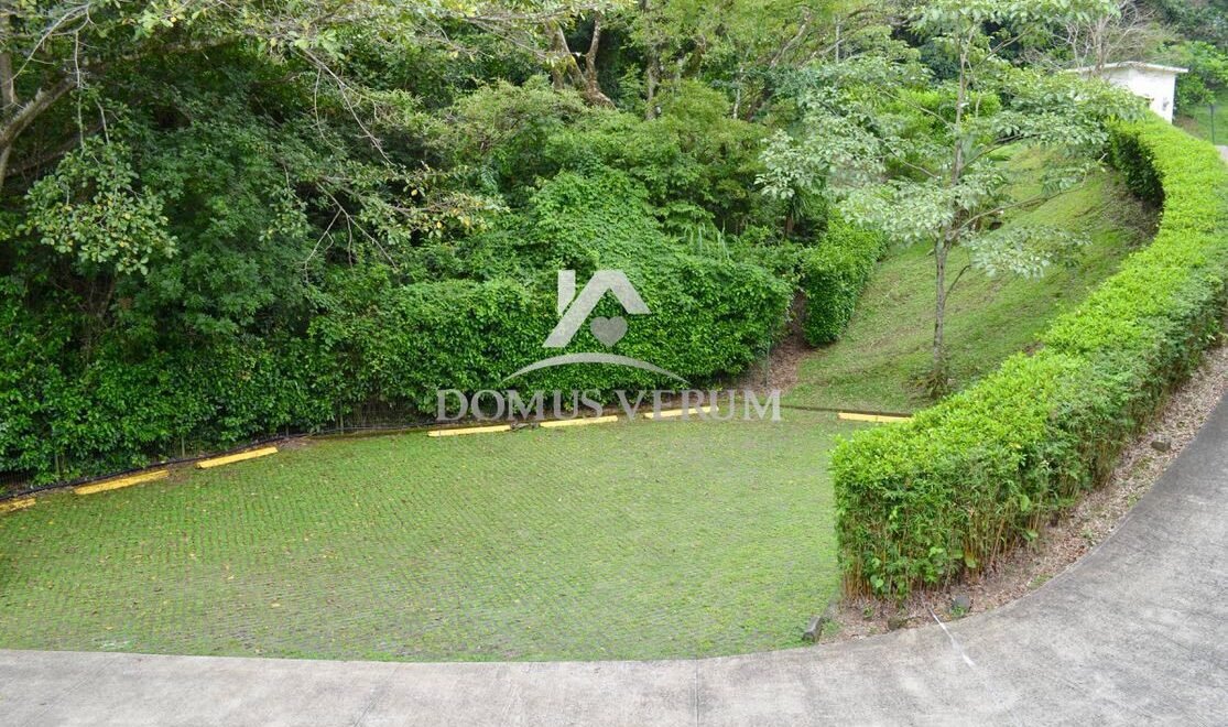 Properties For Rent Cerro Colon Real Estate