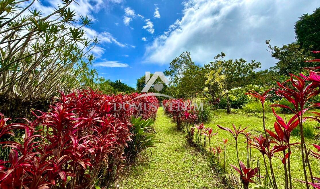 Propiedades de montaña con vista en venta Concepcion san Isidro heredia