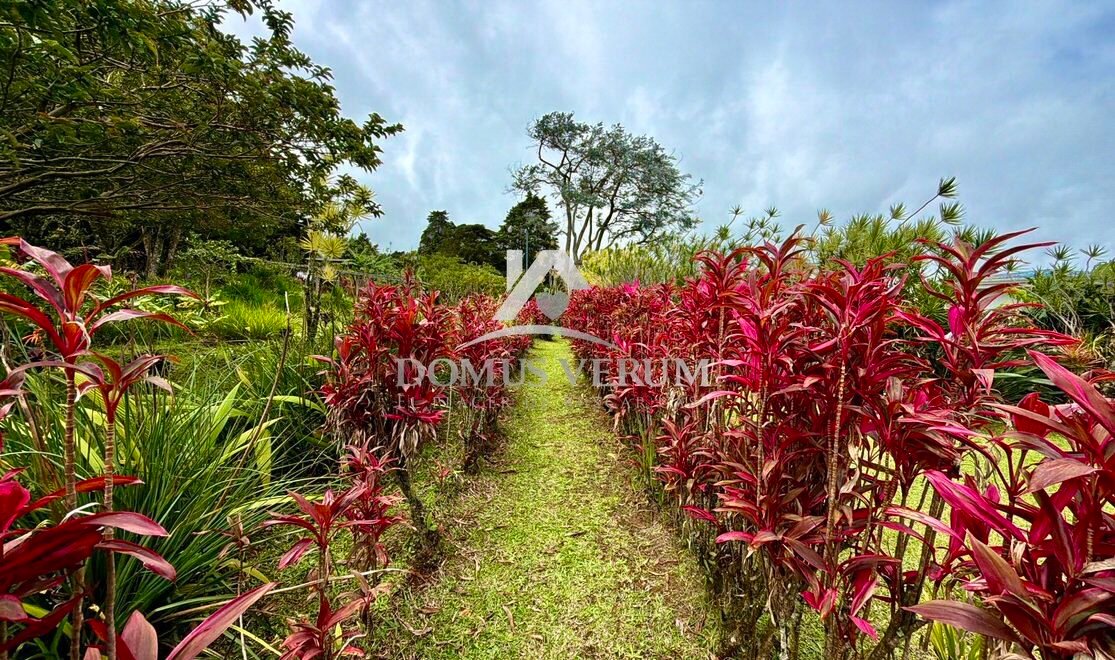 Propiedades de montaña en venta san Isidro heredia
