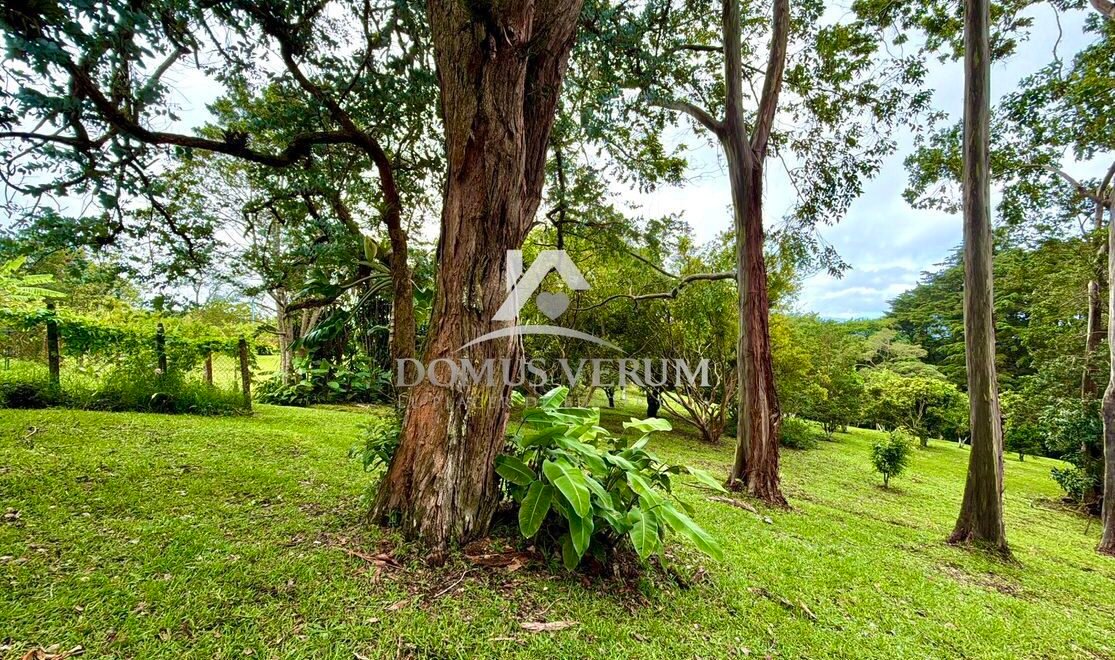 Terrenos en venta en San isidro Heredia