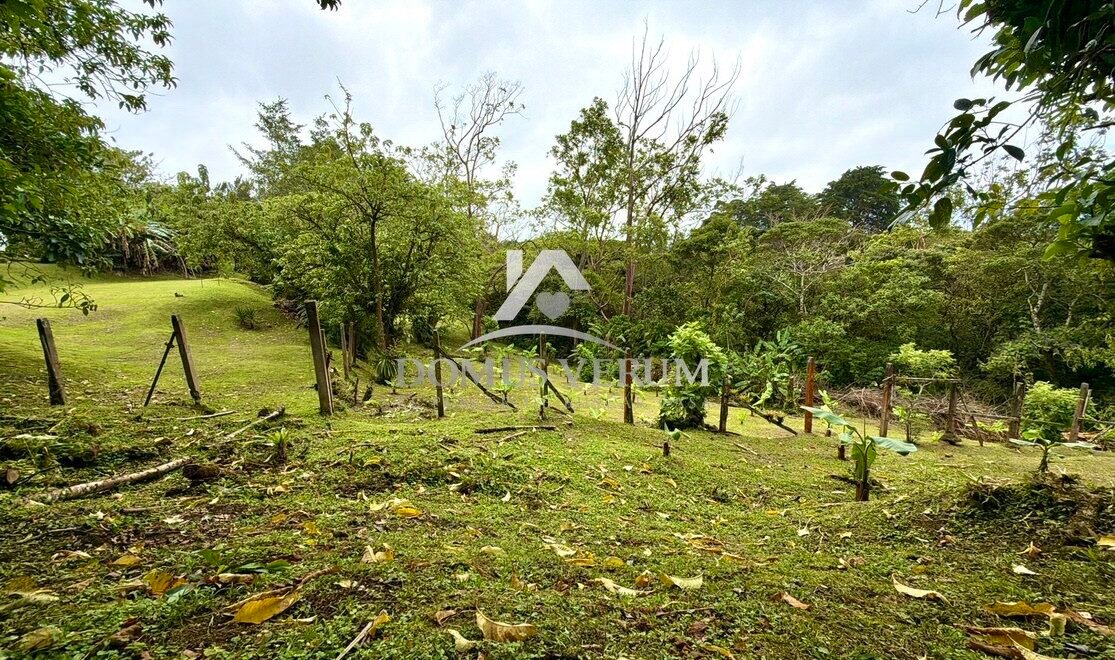 Fincas en venta en Concepcion San isidro Heredia