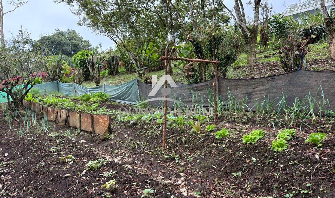 Fincas en venta en Concepcion San isidro Heredia