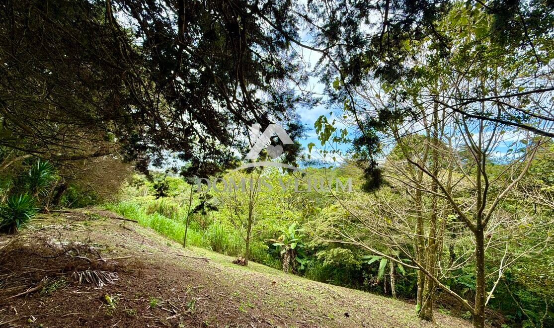 Fincas en venta en San isidro Heredia